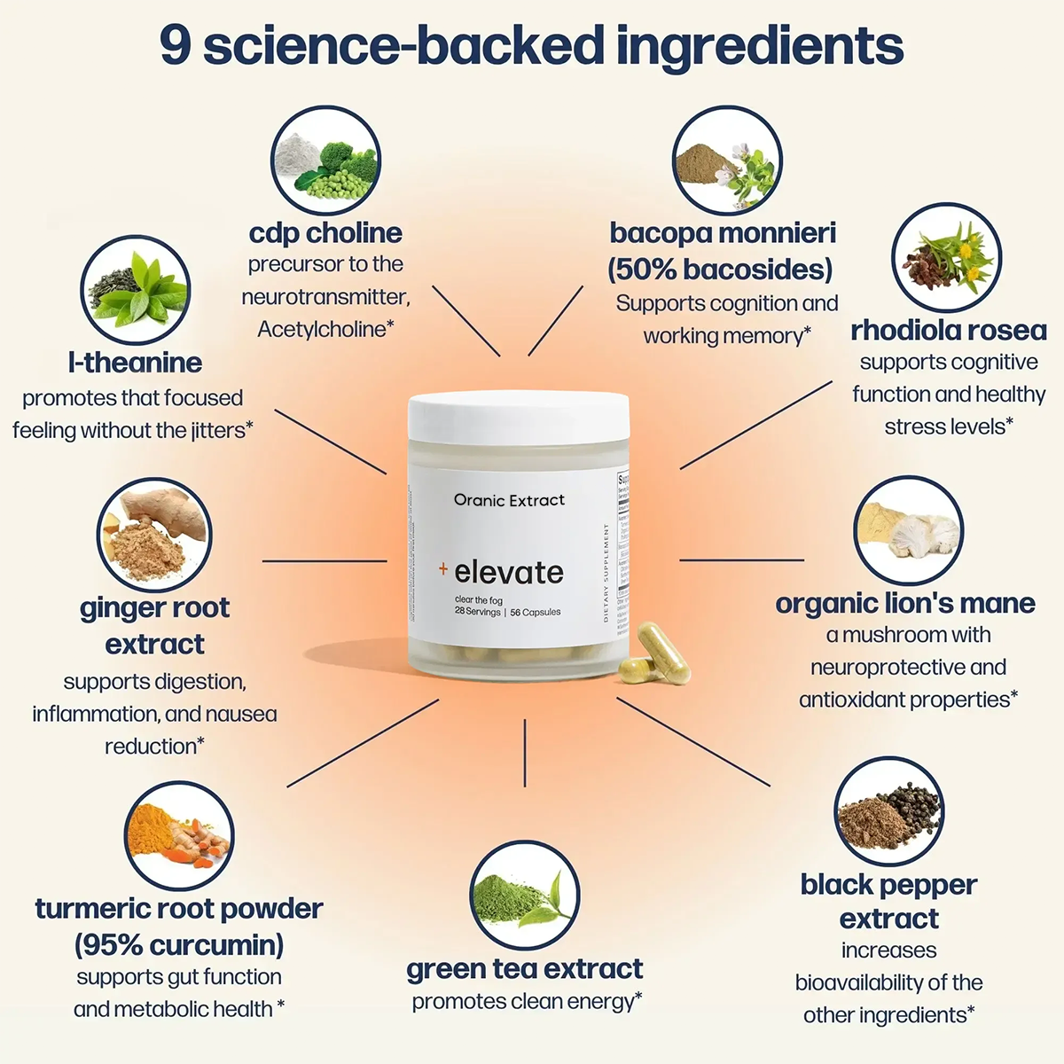 + elevate Premium Nootropic